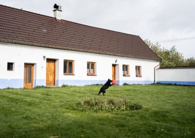 Šafářův statek dog friendly
